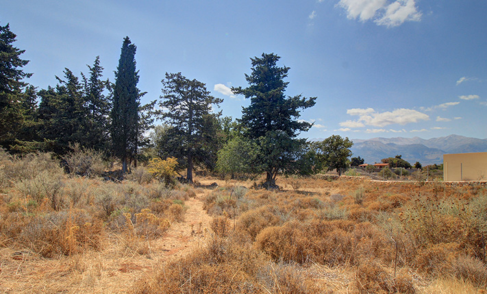 SET IN AN AREA OF WILD NATURE AND EXCLUSIVE VILLAS