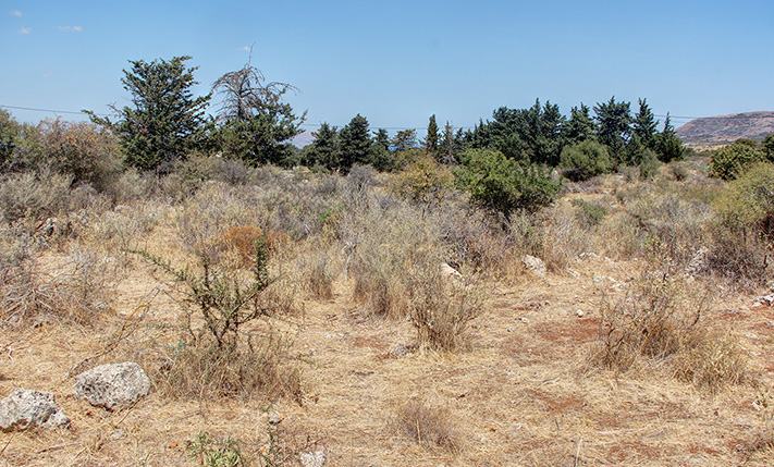 SET IN AN AREA OF WILD NATURE AND EXCLUSIVE VILLAS