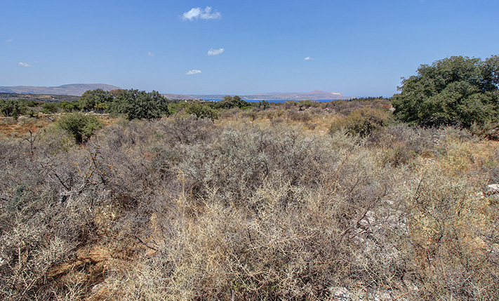 SET IN AN AREA OF WILD NATURE AND EXCLUSIVE VILLAS