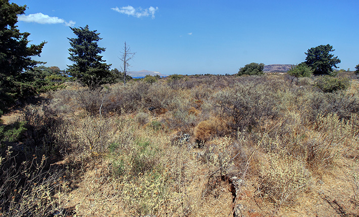 SET IN AN AREA OF WILD NATURE AND EXCLUSIVE VILLAS