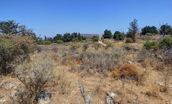 SET IN AN AREA OF WILD NATURE AND EXCLUSIVE VILLAS