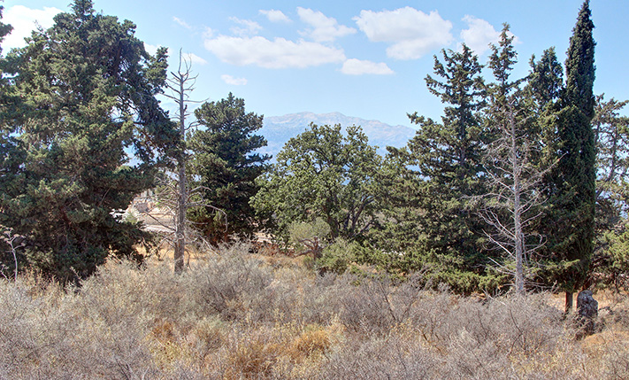 SET IN AN AREA OF WILD NATURE AND EXCLUSIVE VILLAS