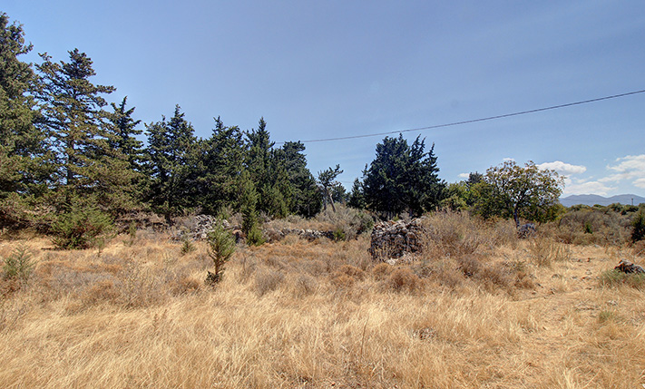 INMITTEN EINER WILDEN NATUR UND EXKLUSIVER VILLEN