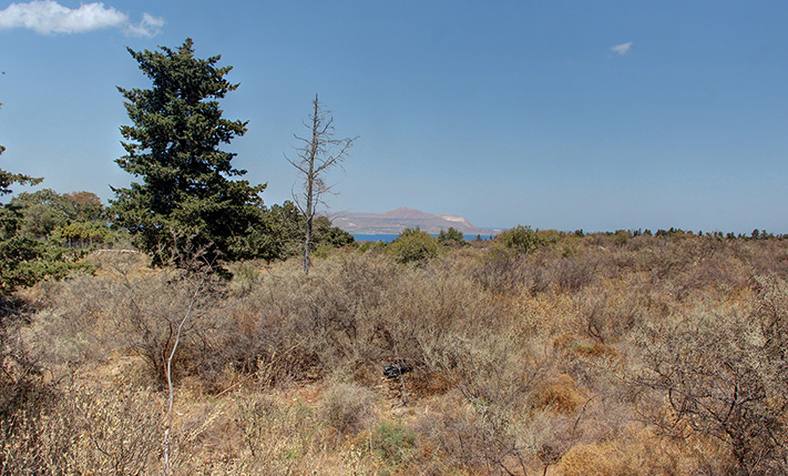 SET IN AN AREA OF WILD NATURE AND EXCLUSIVE VILLAS