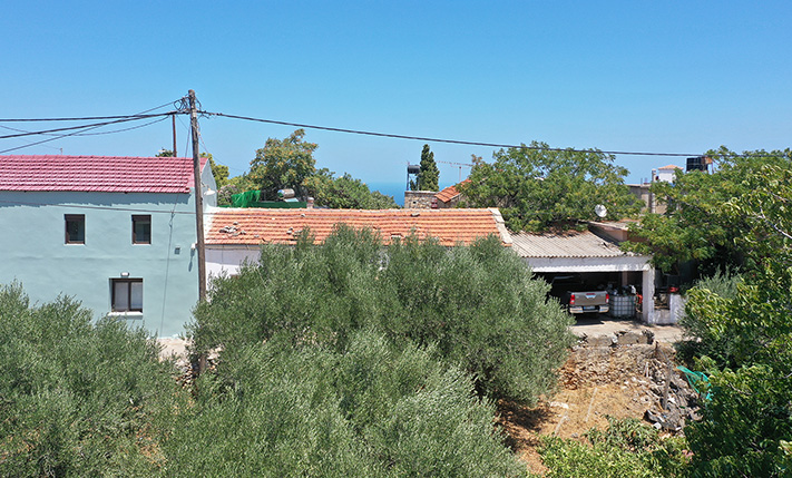 ΠΕΡΙΦΡΑΓΜΕΝΟΣ ΕΛΑΙΩΝΑΣ ΣΤΟ ΚΕΝΤΡΟ ΤΟΥ ΧΩΡΙΟΥ