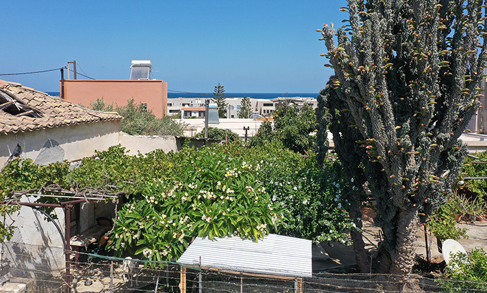 ΜΙΚΡΟ ΓΩΝΙΑΚΟ ΟΙΚΟΠΕΔΟ ΚΟΝΤΑ ΣΕ ΥΠΟΔΟΜΕΣ