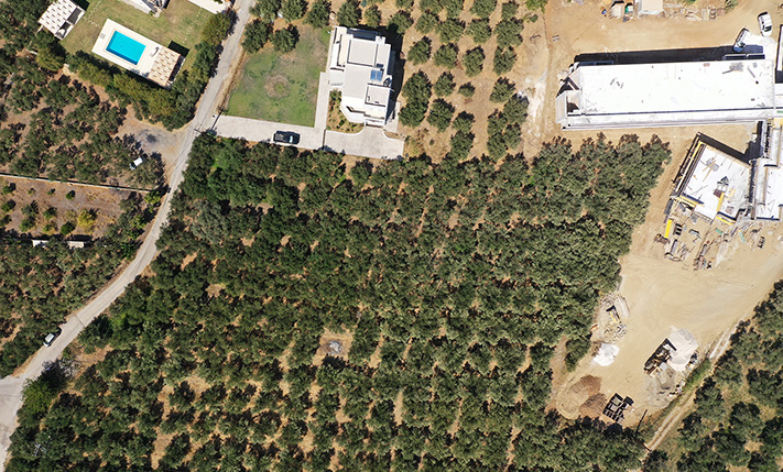 SPACIOUS OLIVE GROVE 800 M FROM KOLYMBARI