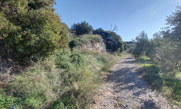 A SOUTHWEST-FACING OLIVE GROVE WITH VIEWS