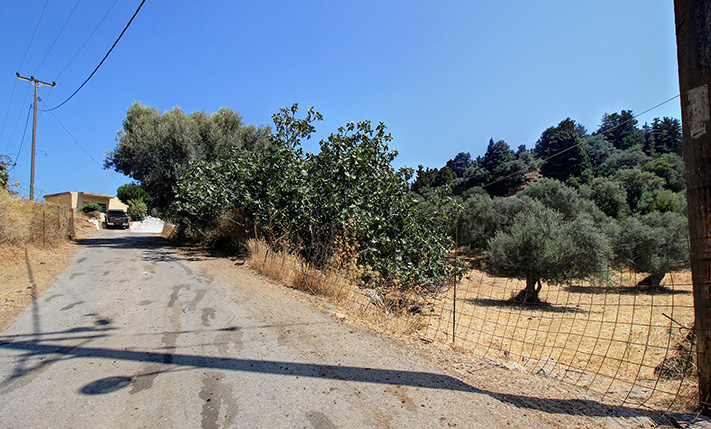 PLOT IN AN AGRICULTURAL REGION SOUTH OF CHANIA