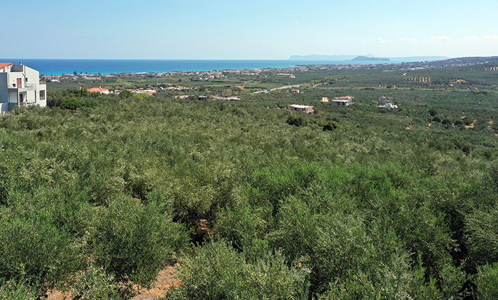 ΕΠΕΝΔΥΤΙΚΗ ΠΡΟΤΑΣΗ ΜΕ ΘΕΑ & ΠΡΟΣΒΑΣΗ ΣΕ ΚΟΜΒΟ