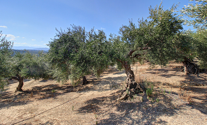 UNOBSTRUCTED VIEWS & EASY ACCESS TO INTERCHANGE