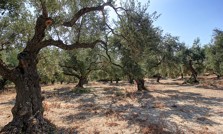 UNOBSTRUCTED VIEWS & EASY ACCESS TO INTERCHANGE