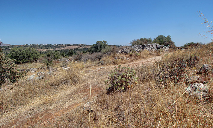GENTLY SLOPED WITH VIEWS OVER A CYPRESS FOREST