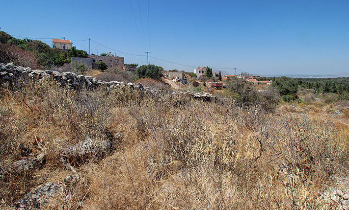 GENTLY SLOPED WITH VIEWS OVER A CYPRESS FOREST