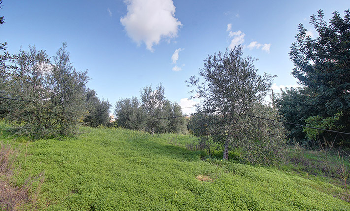 LAND FOR A PERFECTLY ORIENTED RESIDENTIAL COMPLEX