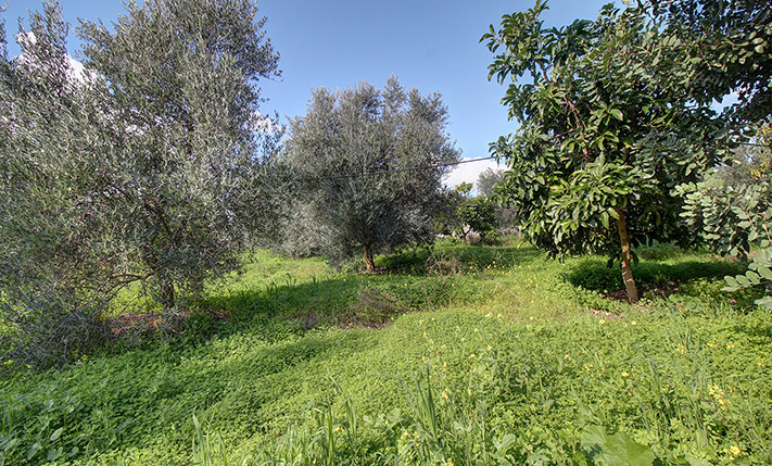 LAND FOR A PERFECTLY ORIENTED RESIDENTIAL COMPLEX