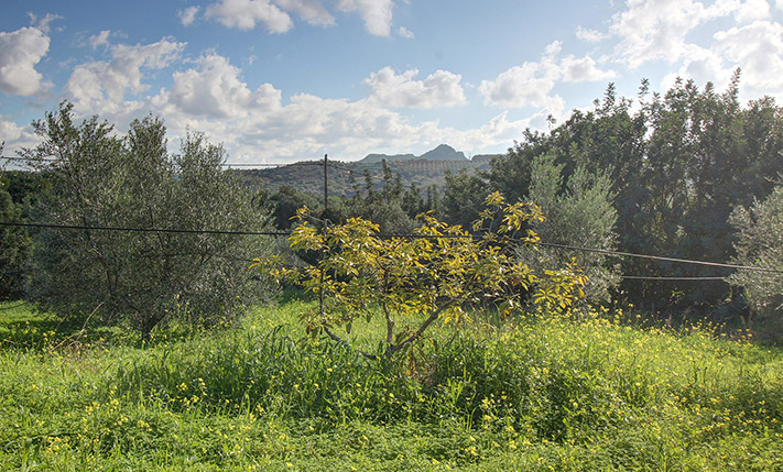 LAND FOR A PERFECTLY ORIENTED RESIDENTIAL COMPLEX