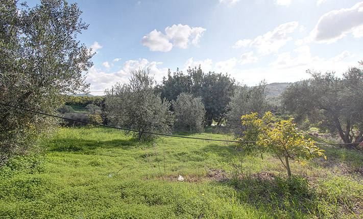 LAND FOR A PERFECTLY ORIENTED RESIDENTIAL COMPLEX