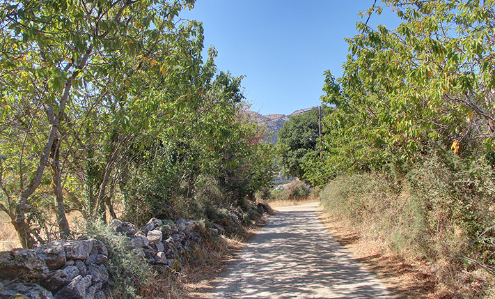 FLAT & FERTILE LAND ON ASKIFOU PLATEAU