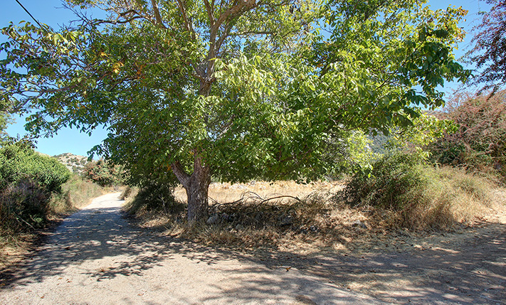 FLAT & FERTILE LAND ON ASKIFOU PLATEAU
