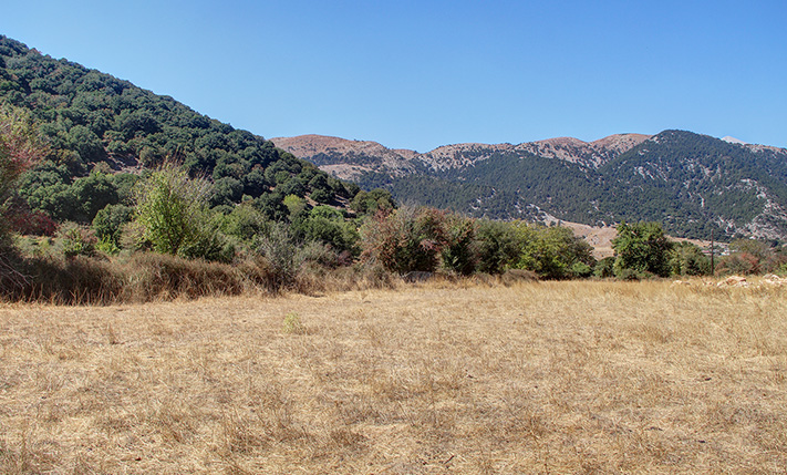 FLAT & FERTILE LAND ON ASKIFOU PLATEAU