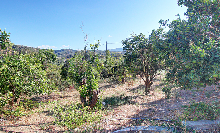 ΜΕ ΜΕΓΑΛΗ ΟΨΗ ΣΕ ΕΠΑΡΧΙΑΚΟ ΔΡΟΜΟ