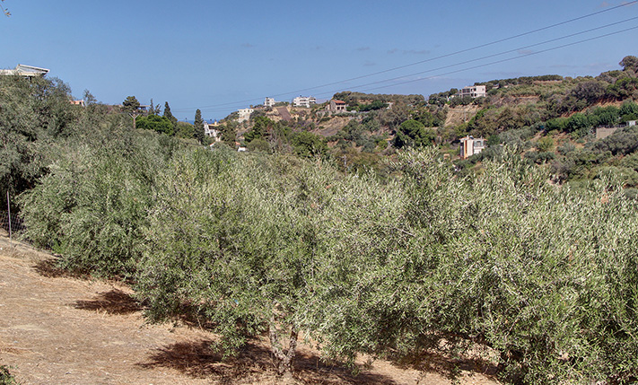 PERFECT FOR A SMALL COMPLEX NEAR STALOS BEACH