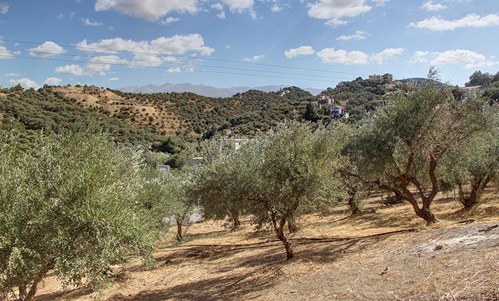 PERFECT FOR A SMALL COMPLEX NEAR STALOS BEACH