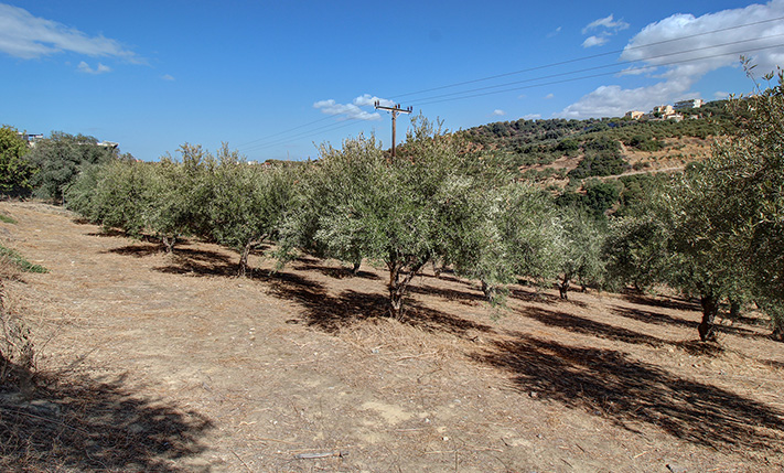 PERFECT FOR A SMALL COMPLEX NEAR STALOS BEACH