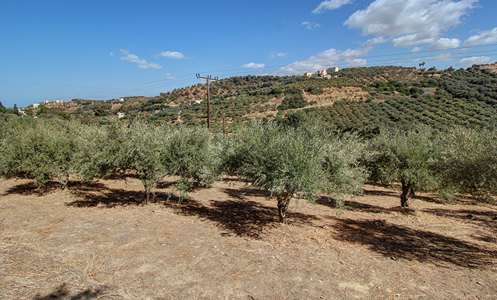 PERFECT FOR A SMALL COMPLEX NEAR STALOS BEACH