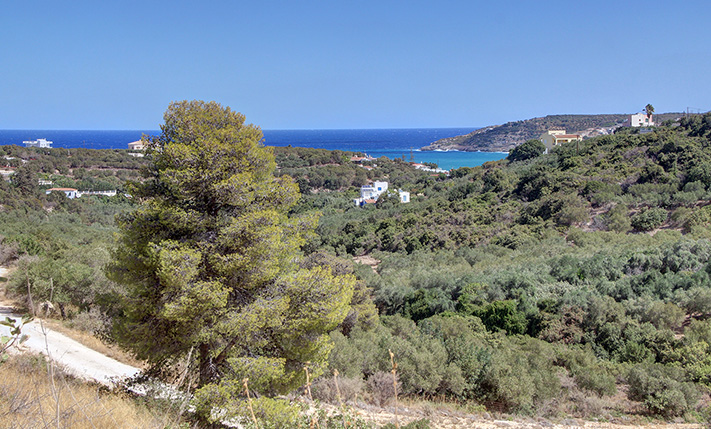 ΠΟΛΥΤΕΛΗΣ ΘΕΑ & ΜΕΓΕΘΟΣ ΚΟΝΤΑ ΣΤΗ ΘΑΛΑΣΣΑ