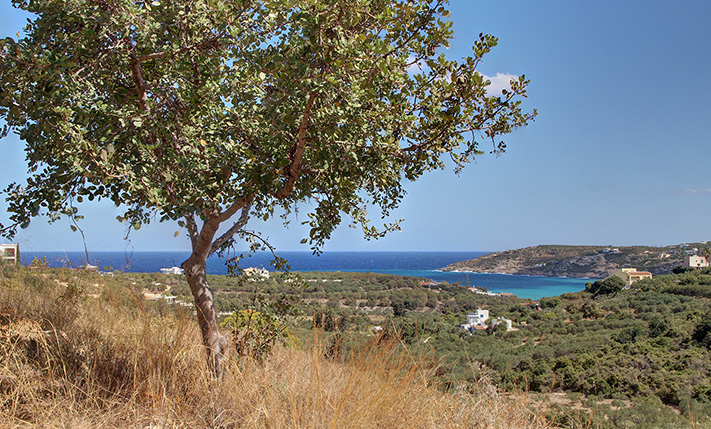 LUXURIOUS SIZE & VIEWS NEAR THE BEACH