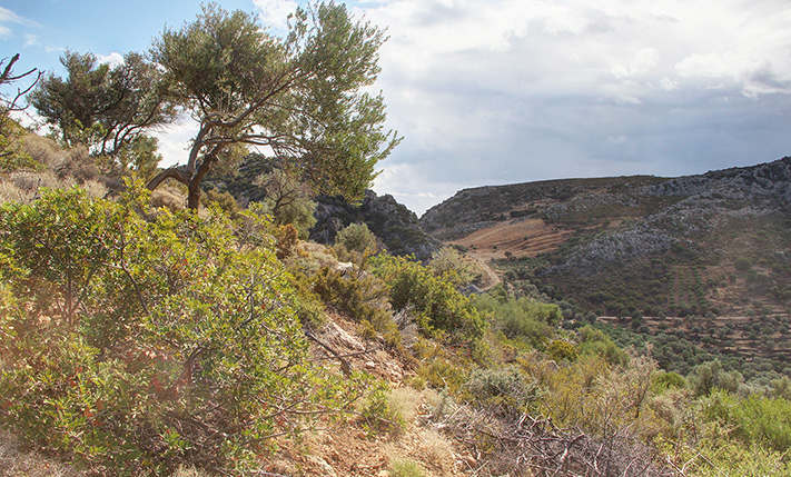 BUILD DIRECTLY A MODERN HOUSE NEAR PALAIOCHORA