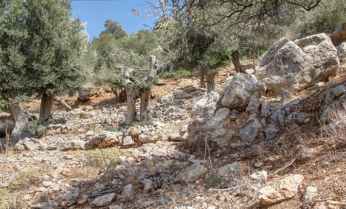 DIREKT BEBAUBAR IN DER NÄHE VON PALAIOCHORA