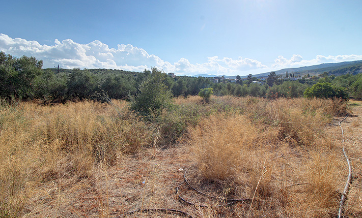 ΟΙΚΟΠΕΔΟ ΧΩΡΙΣ ΔΟΜΗΣΗ ΝΟΤΙΑ ΤΟΥ ΤΑΥΡΩΝΙΤΗ