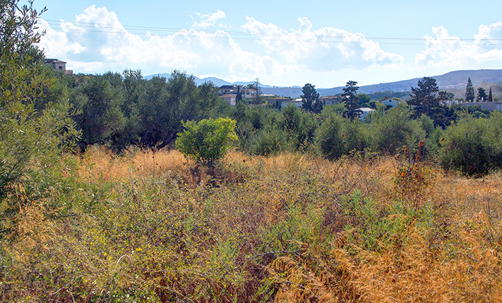 ΟΙΚΟΠΕΔΟ ΧΩΡΙΣ ΔΟΜΗΣΗ ΝΟΤΙΑ ΤΟΥ ΤΑΥΡΩΝΙΤΗ