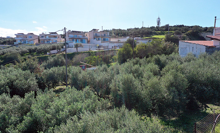 OLIVE GROVE WITH SEA VIEWS IN TOURIST AREA