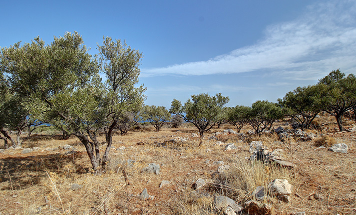 READY-TO-BUILD LAND AMONG A DRAMATIC SETTING