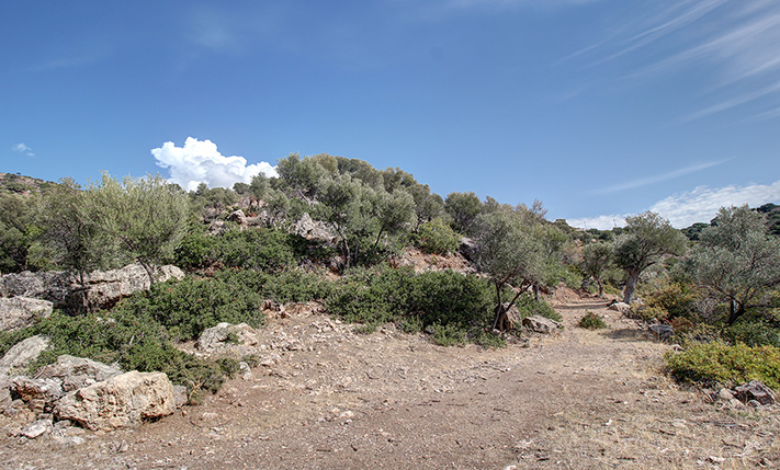 PARCEL WITH EASY ACCESS NEAR PALAIOCHORA