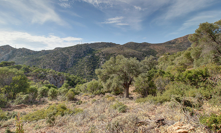 PARCEL WITH EASY ACCESS NEAR PALAIOCHORA