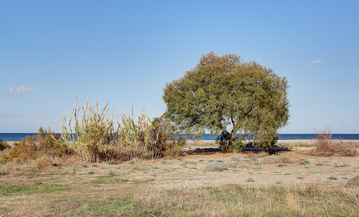 ΓΙΑ ΠΟΛΥΤΕΛΗ ΟΙΚΙΑ ΜΠΡΟΣΤΑ ΣΕ ΑΜΜΩΔΗ ΠΑΡΑΛΙΑ