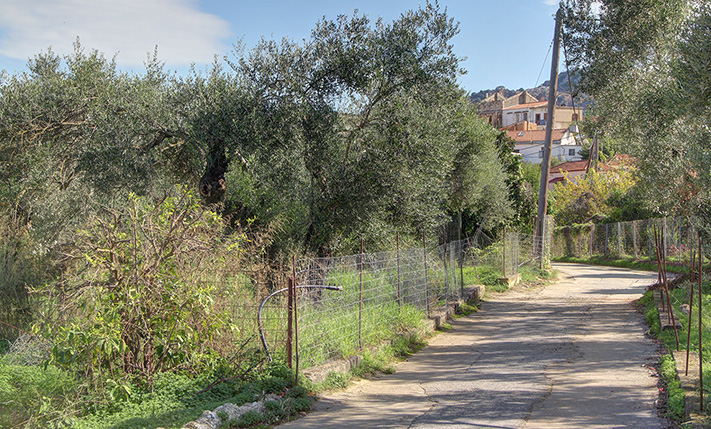 IN A FAMILY NEIGHBORHOOD SOUTHWEST OF CHANIA