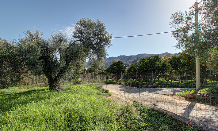 IN A FAMILY NEIGHBORHOOD SOUTHWEST OF CHANIA