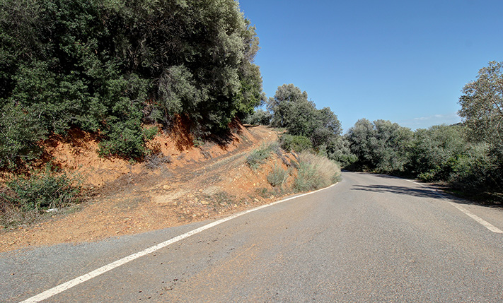 SOUTHEAST-FACING SLOPE WITH OLIVE TREES