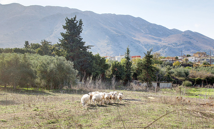 SPACIOUS PLOT WITH SEA VIEWS NEAR KOURNAS LAKE