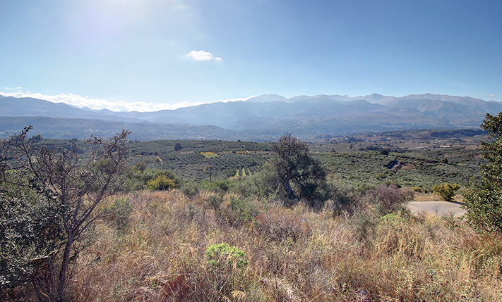 2 ACCESS ROADS & UNOBSTRUCTED MOUNTAIN VIEWS