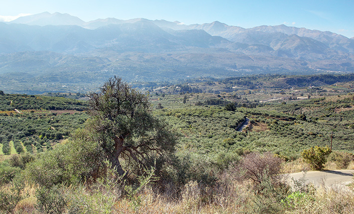 ΔΥΟ ΟΨΕΙΣ & ΑΝΕΜΠΟΔΙΣΤΗ ΘΕΑ