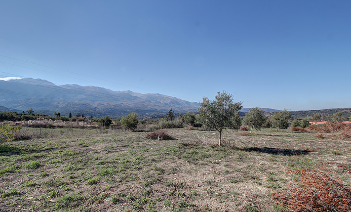 NORTHWEST-FACING PARCEL FOR A SMALL SOLAR PARK