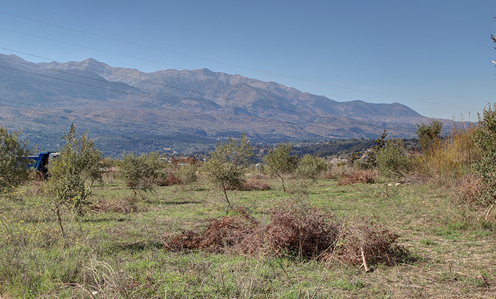 NORTHWEST-FACING PARCEL FOR A SMALL SOLAR PARK