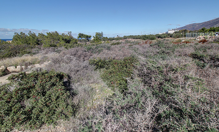 READY-TO-BUILD SURROUNDED BY MODERN HOUSES